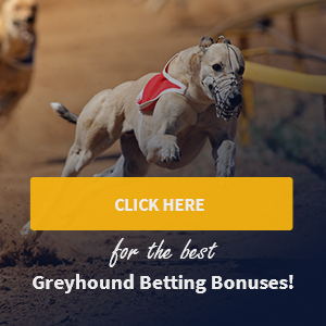 best greyhound betting bonus sites